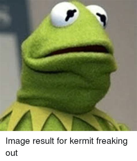 Image Result For Kermit Freaking Out Image Meme On Meme
