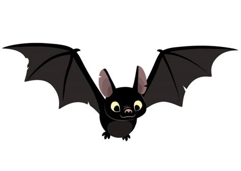 Bat Illustrations Royalty Free Vector Graphics And Clip Art Istock