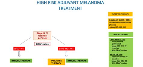 Adjuvant Treatment Algorithm In High Risk Melanoma Download