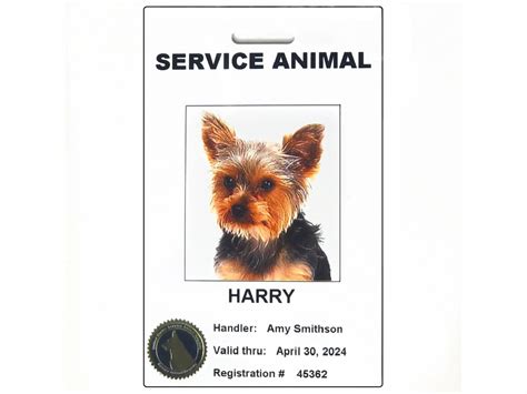 Replacement Photo Id Card For Service Therapy Animal And More