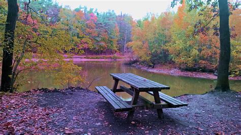 Autumn Tranquility Forest Leaves Water Colors Bench River