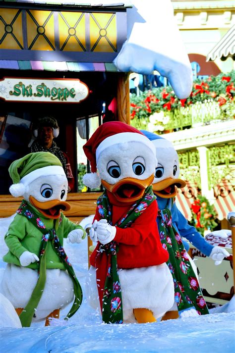 A Disney Christmas Disney Christmas Disney Holiday Disney World