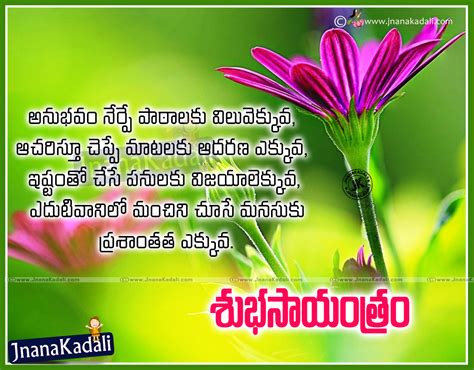 Top Telugu Famous Good Evening Inspirational Quotes And Sayings Jnana