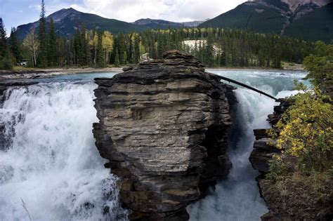 The Adventures Of Asher And Journey Jasper National Park Athabasca