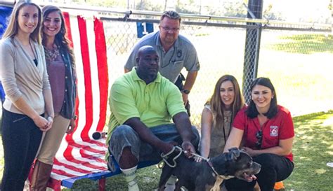 Orange County Animal Services New Adoption Program For Veterans Proves