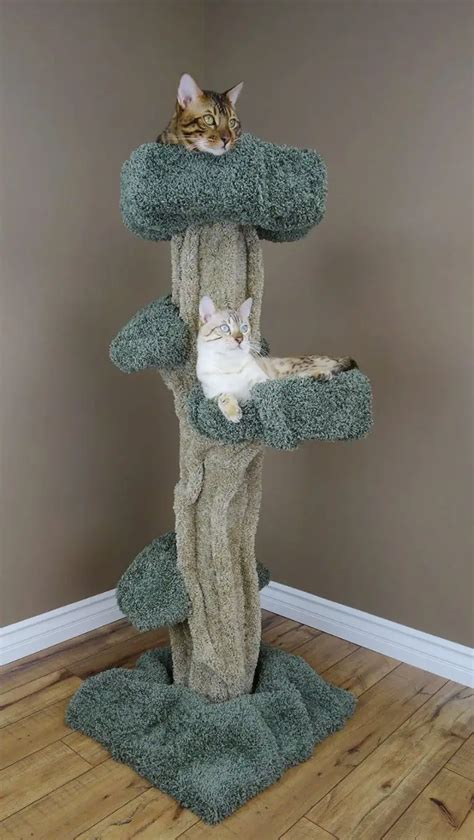 5 Awesome Cat Trees That Look Like Trees Purrfect Cat Breeds