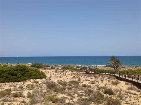 Reabren Al Baño La Playa Del Carabassí De Elche Tras Obtener Resultados