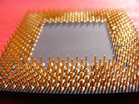 Amd Processors Susceptible To Security Vulnerabilities Data Leaks