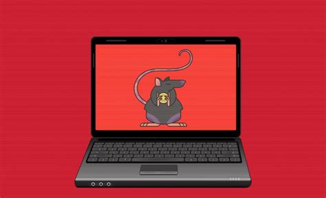 Fear The Rat Everything You Need To Know About Rat Malware