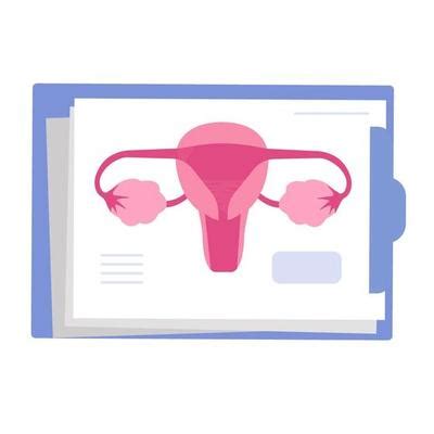 Uterine Cancer Vector Art Icons And Graphics For Free Download