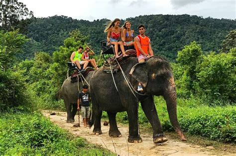 Namuang safari park is the largest and most tourist safari park on koh samui. Elephant Trekking - 20 January 2019 in the Namuang Safari ...
