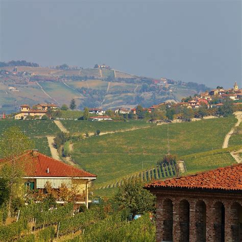 Nebbiolo possesses almost exclusive affinity with piemonte, as its performance outside this heralded zone is serviceable at best. Barolo | Barolo, Piemonte, Italy September 2017 | Anthony ...