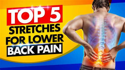 Eliminate Or Relieve Lower Back Pain W These Top 5 Stretches