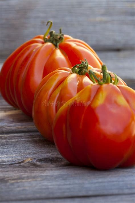 Three Large Beefsteak Tomatoes In A Row Stock Image Image Of Food