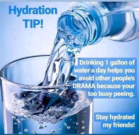 Funny Quotes About Drinking Water Funny Memes