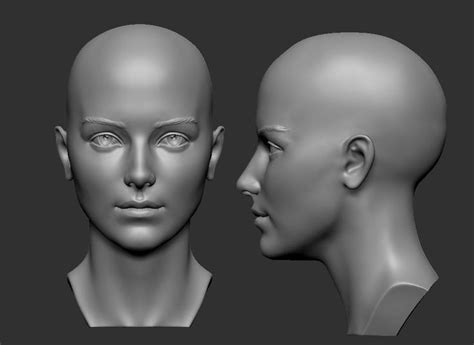 female head 5 3d print model face character art anatomy art