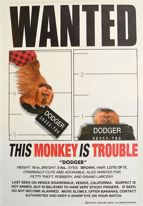 Monkey Trouble 1994