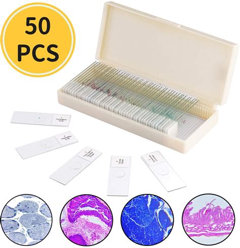 50pcs Prepared Microscope Slides Set Professional Grade Specimens For