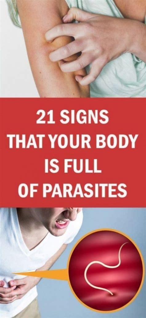 Here 21 Signs Parasites Are Living In Your Body