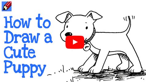 Dogs and wolves, and their anatomy. How to draw a Cute Puppy Real Easy | Shoo Rayner - Author
