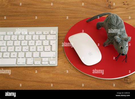 Apple Keyboard And Wireless Mouse Stock Photo Alamy
