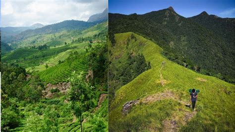 Ooty places to visit | Discover hidden gems to explore in Ooty | Travel