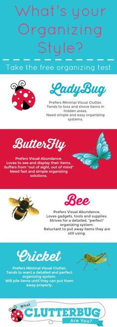 13 Clutterbug Bee Ideas Fashion Organization Clutter Organization
