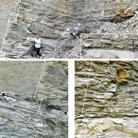 Sedimentary Sequence Of The Cretaceouspaleogene Boundary In The Gubden