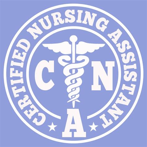 Cna Certified Nursing Assistant Png Etsy Canada