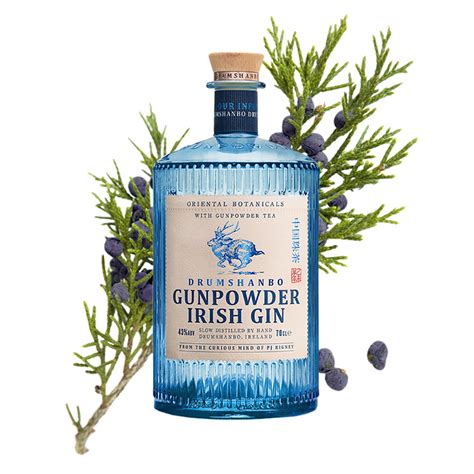 15 Best Gin Brands 2019 What Gin Bottles To Buy Right Now