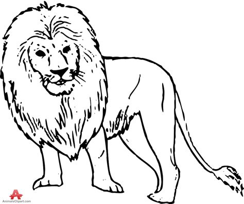 Angry Lion Drawing At Getdrawings Free Download