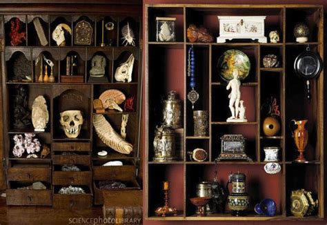 Cabinet Of Curiosities Dorene Shelley