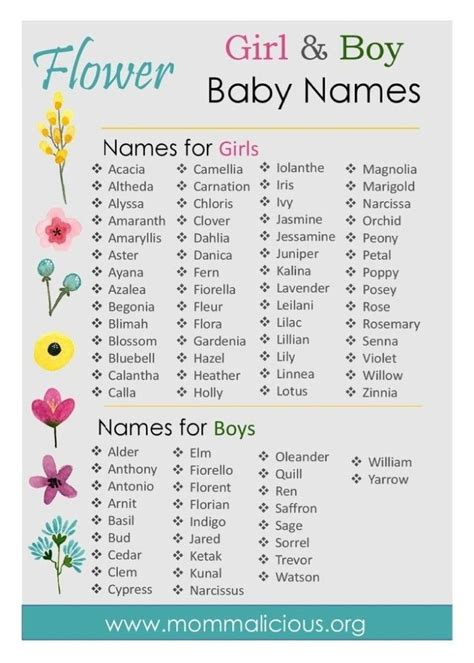 Flower Names Baby Names Baby Names Flowers Baby Girl Names Unique