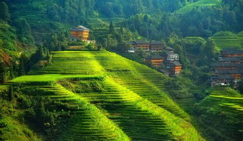 Banaue Rice Terraces Ifugao Terraced Field Landscape Hills China