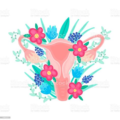 Female Reproductive System In Flowers Anatomy Gynecology Woman Health