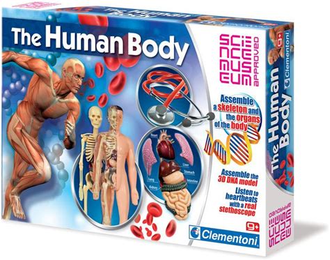 Human Body By Creative Toy Company 8005125611720 Item Barnes And Noble®