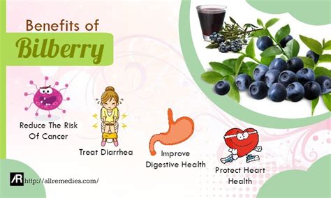 36 Benefits Of Bilberry For Health And Beauty