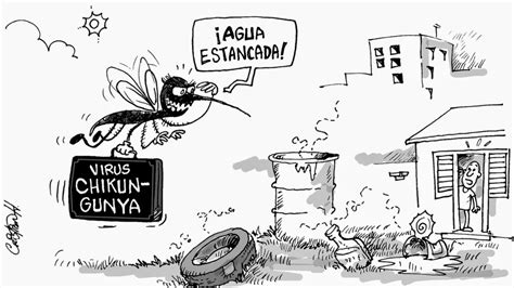 Chikungunya Todo Lo Que Necesitas Saber Sobre El Virus De Chikungunya