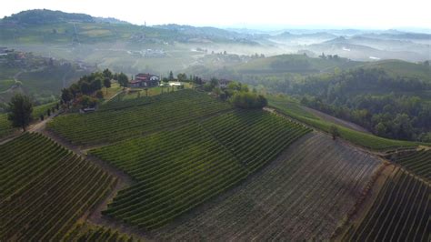 Vineyard Aerial View In Langhe Piedmont Italy 15284309 Stock Video At