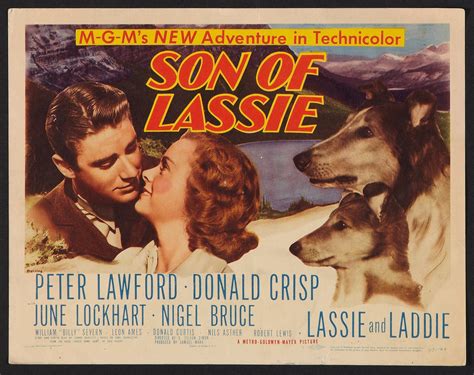 A História De Lassie