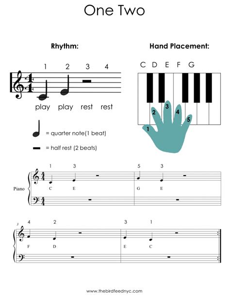The Bird Feed Nyc Online Piano Lessons Music Lessons For Kids Piano