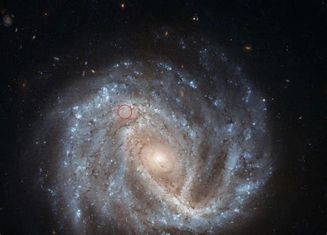 The Hubble Space Telescope Eyes A Curious Supernova In Ngc 2441 Spaceref