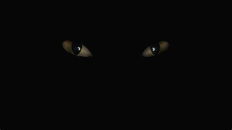 Wallpaper Cat Digital Art Eyes Minimalism Toothless Black Cat