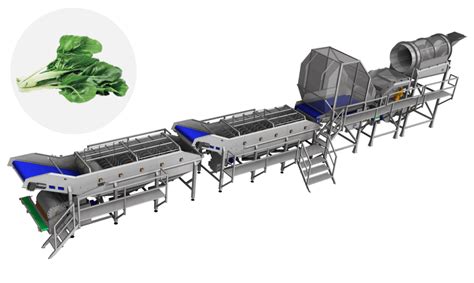 Spinach PROCESSING LINE - food processing equipment ...