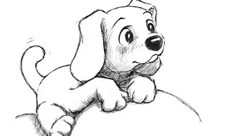 How To Draw Puppy Step By Step For Beginners And Kids Step By Step