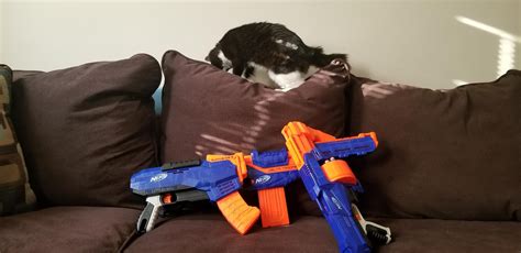 My Roommates Set Complete With Evie The Cat Rnerf