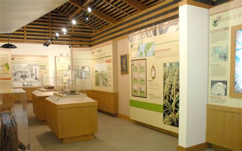 Caw Caw Interpretive Center Bring Your Group Or Tour Charleston
