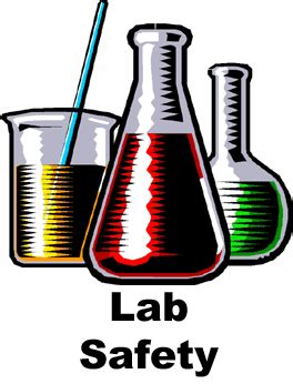 17 laboratory equipment inside a computer lab is very expensive, and it is your responsibility to ensure that this equipment is kept safe and sound. Chemistry Laboratory Safety Quiz - ProProfs Quiz