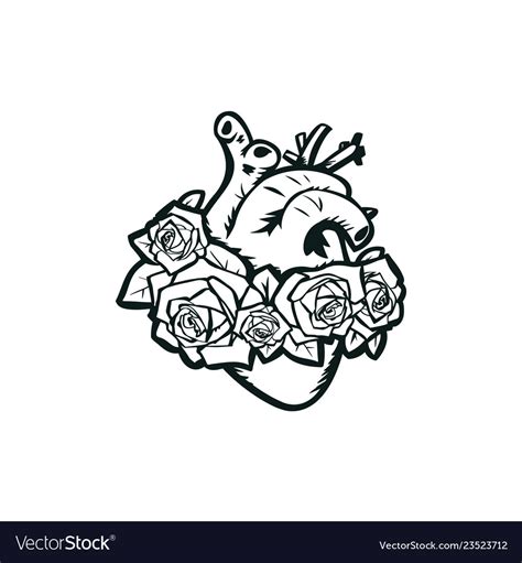 Anatomical Heart With Roses Royalty Free Vector Image