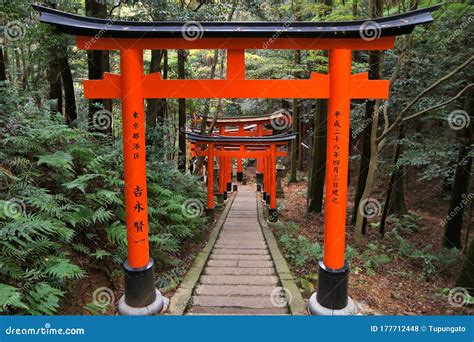 Torii Gates In Japan Editorial Stock Photo Image Of Architecture